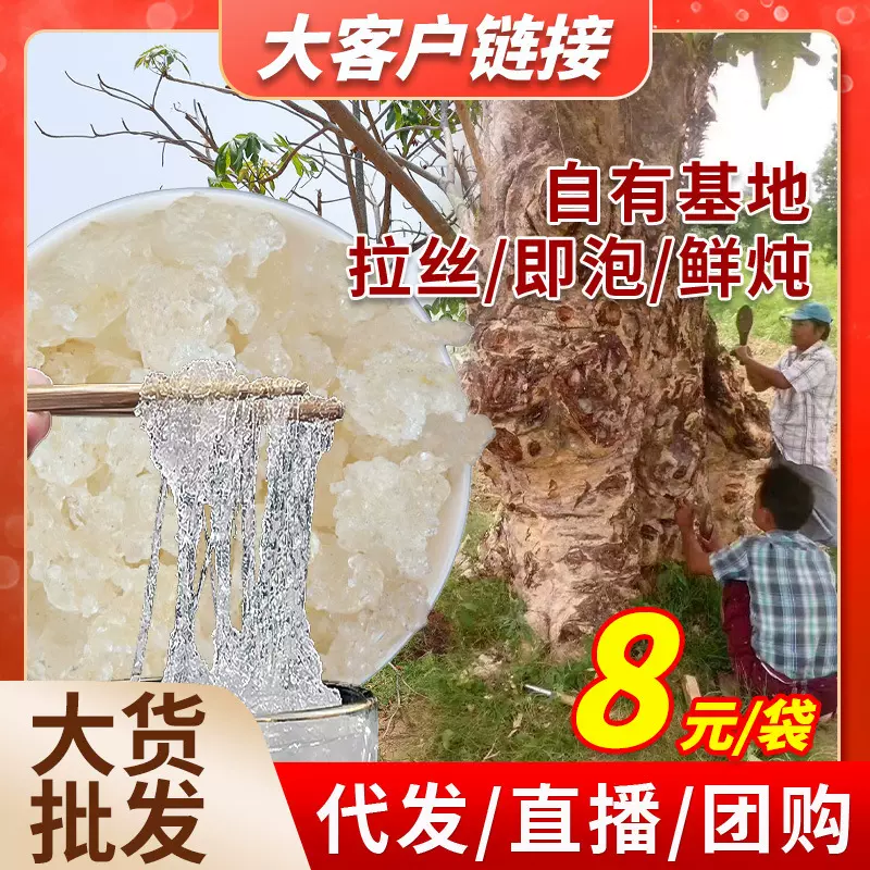 缅甸拉丝雪燕 植物燕窝原产地直发桃胶皂角米配雪燕批发直播批发