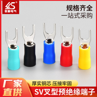 SV�����A�^�����^ Y���䉺����U���A�^���Ӿ������䉺�Ӿ����^