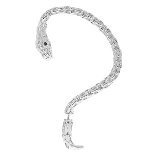 European and American Cross-border Punk Style Winding Personalized Snake-shaped Ear Hanging Retro Creative Cold Style Fashion Men's Couple Earrings Earrings