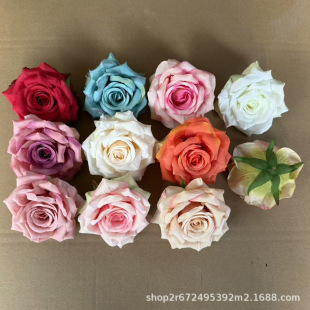 ����õ�廨�^ ë�q����õ�ʯõ�ٻ����^��c���à������������l