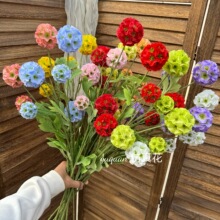 ��Ʒ�|���滨�ٻ��Ҿ��b�5�^�L܇�Ն�֧�L܇�����x���b��L܇��