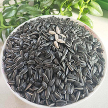 油葵黑珍珠瓜子生香5斤年货小油葵花籽2斤炒货熟奶油薄盐原味零食
