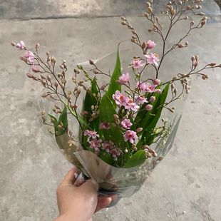 �������裨12-15֧�����x��  ��ɫ���������m �_������ �҃�����