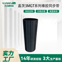 �Ǵ�3MGTϵ����ͬ���������ȫԭװ��Ʒ�ǴĴ����ǴĹ�ҵƤ��