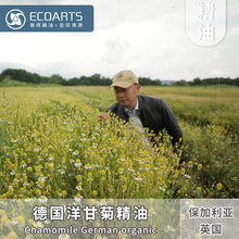 ����ʾվ��� ���������M�ھ���ԭ�����l�η����������������