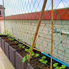 ������پWֲ�ﻨ�ܹϹ��z�Ͽ�ϵ������ѹ��V���ǰ�������پW��