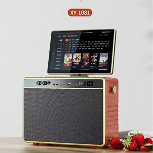 ����XY-1081 12��ҕ�l��� �V����K����� �{������Ļ��� ����C