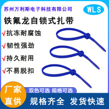 PTFE鐵氟龍耐高溫扎帶阻燃防腐蝕抗酸鹼防老化電纜綁帶