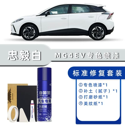 Mg4 Ev Spray Paint Touch-Up Avtomobil boya qələmləri - product-specification-grids-zhongyi-white-standard-repair-send-soil-replenishment-simple-tools