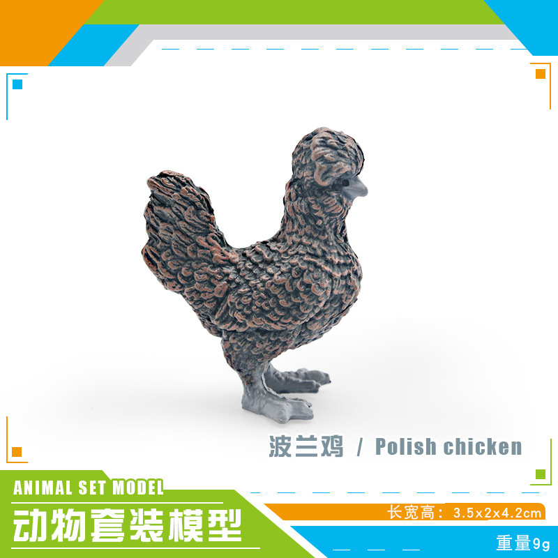 Pl127 - 2938 pollo polaco 9G