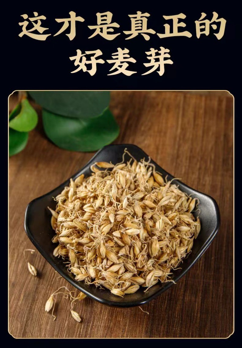 Malt (Hordeum vulgare) — Dried Food-Herb Barley Sprout, 500g key features
