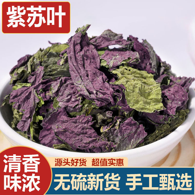 Wholesale of Perilla Leaves as Chinese Medicinal Herbs, Dried Perilla Leaves for Consumption, Tea, Foot Soak, and Bath Use, Non-Wild Perilla Leaves, Fresh and Dried Goods Wholesale of Perilla Leaves as Chinese Medicinal Herbs, Dried Perilla Leaves for Consumption, Tea, Foot Soak, and Bath Use, Non-Wild Perilla Leaves, Fresh and Dried Goods