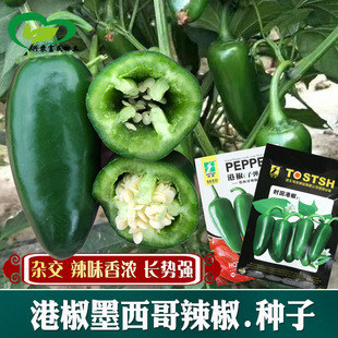 �۽�ī���������N�� �r��˵��r����@�Nֲ�s�������ݽ���