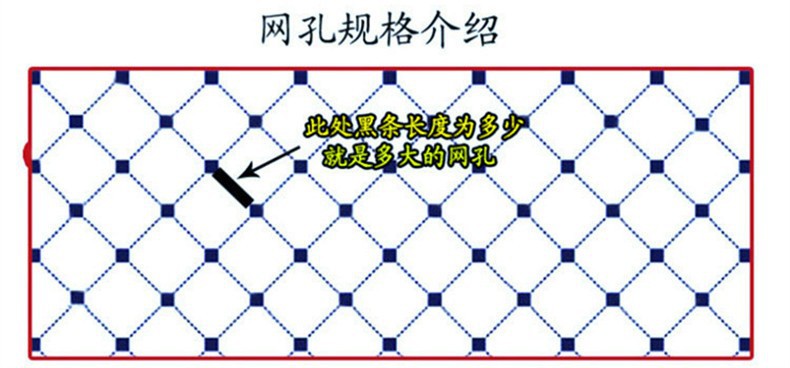 网孔介绍.jpg