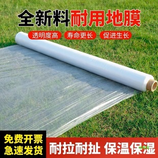 Plastic Film Greenhouse Thickeneded Polyethylene Plastic Planting Agricultural White Paper Mulch Engineering Vegetable Planting Moisturizing and Heat Preservation