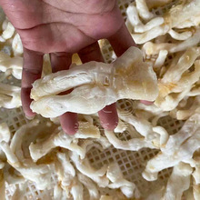 �i����əC �՚�������Ʒ����C ȫ�Ԅ���ʽ�����O�� 늺淿