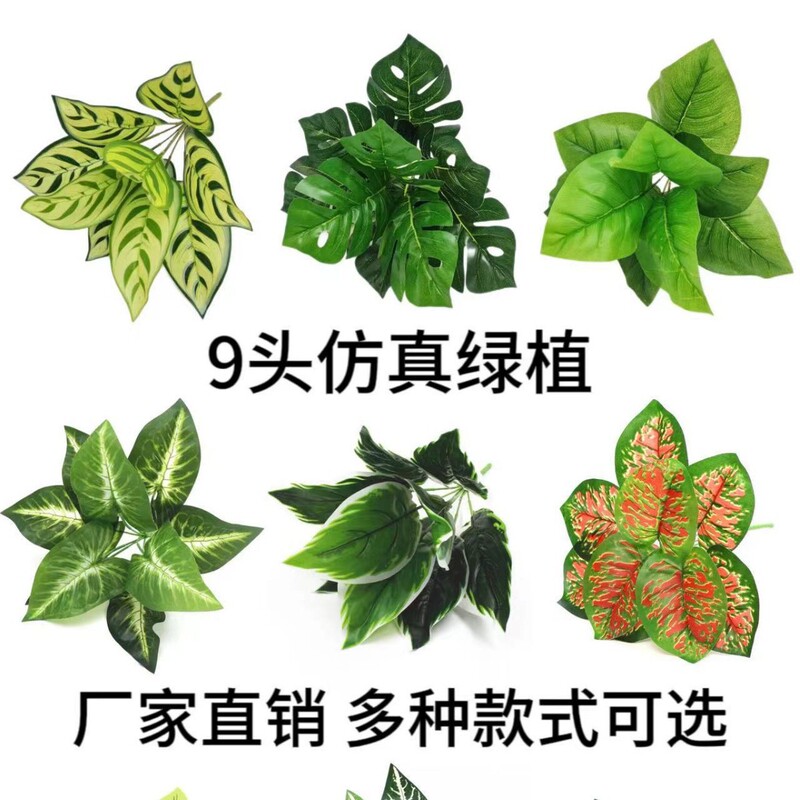 9本のPVC製人工観葉植物、滴水観音（アオウキョウ）の葉、偽物の葉、家の装飾用植物、鉢植え、造花|undefined