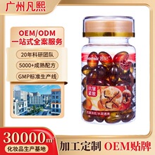 �����x���`֥�����o�¾��A���z���沿�����B�w�����o���̝����w��