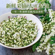 2023洋槐花新鲜现摘可食用当季野菜时令冰鲜发货整箱批发跨境电商