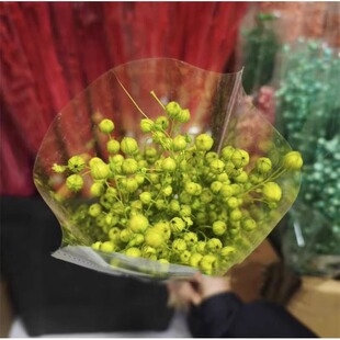 ������˼���ɻ��滨���鶹���F���廨���ļҾ��b��Ĕz�����o�Ļ�