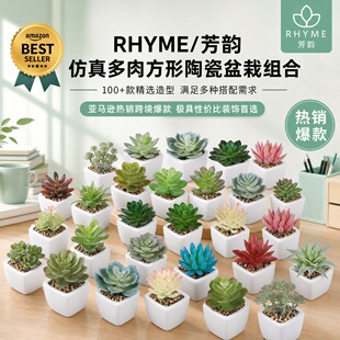 100+��羳���N�ٶ����մ����ԽM��INS�L�Ҿӷ���Gֲ�辰С�[��