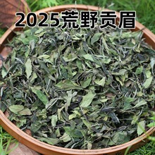 2025ϻҰС˲ؕüСײ踣ɽĮa^ȸՕ~