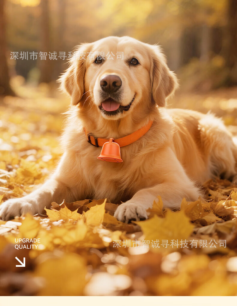 5G pet tracking device GPS locator for cats and dogs, real-time animal positioning electronic smart collar, anti-lost device