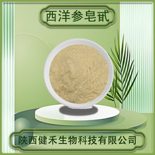 西洋参皂甙80% 西洋参花旗提取物西洋参粉包邮西洋参皂甙