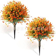 �羳�����＾С�軨�ز��ɫֲ��ز��Gֲ�٘�ͥԺ�b��쾰