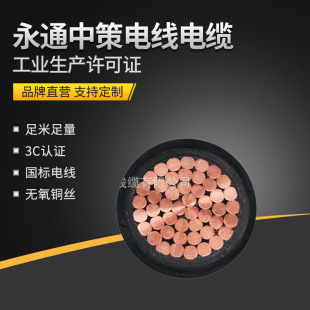 ��ͨ�в�늾���| ZR-YJV2/3/4/5о*35/50/70ƽ����ȼ�~о��|��