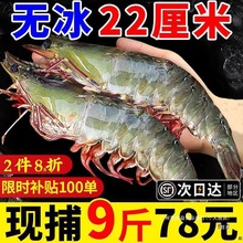 ���u���r�r���r���]0�}�����r�����r�����r���rˮ�a�ك�������b