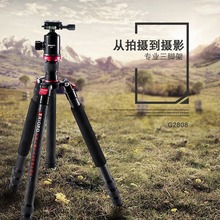 �݌�G2808+Q-2���I����y̼�w�S���_�� �ɲ��_�� �����ռ{���_