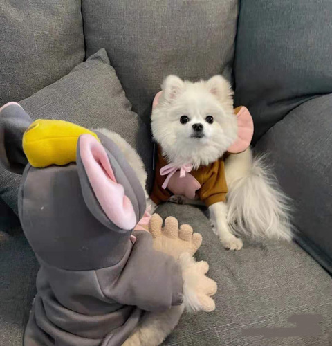 Pet Dog Cat Teddy French Bulldog Pomeranian Small and Medium Dogs Winter Sweatshirt Fleece Clothes Decorative Accessories