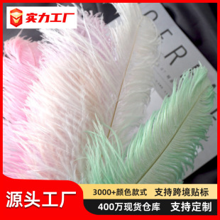 22ɫ��Bë����ë��c�������bW�t����ɫ��ɫ��ë�廨 20-25cm