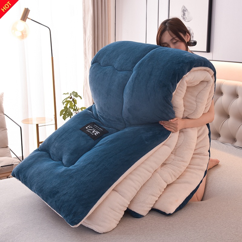 Winter Lamb Wool Winter Blanket Cotton Blanket Student Dorm Thick Warm Milk Wool Filled Blanket Core Live Streaming Group Purchase Wholesale