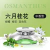 Silver osmanthus
