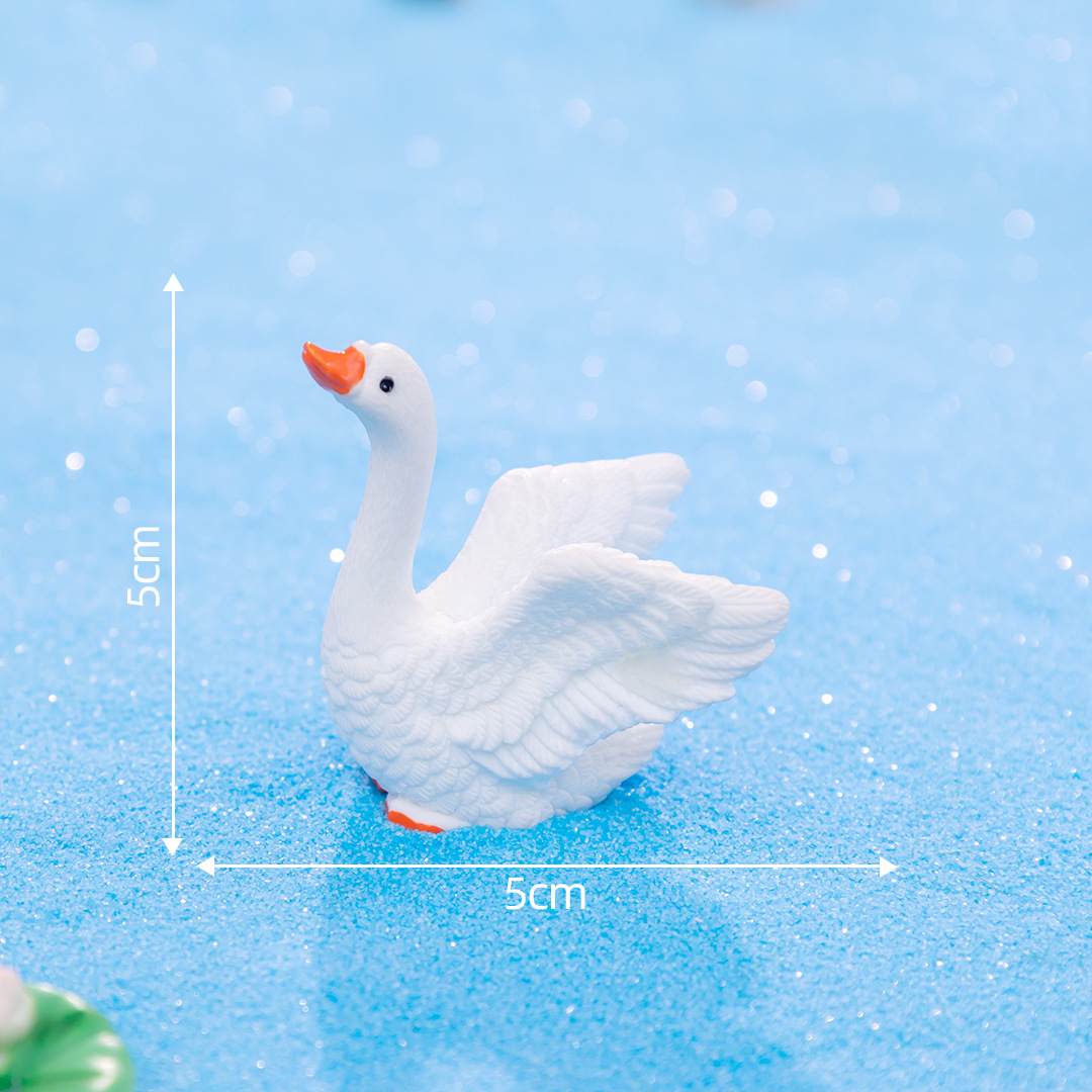 아름다운 백조 1