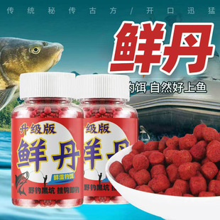 �¿��r�������~�����D���a�����w�����h��Ʒ�ڿ�Ұ��~�D���~ʳ