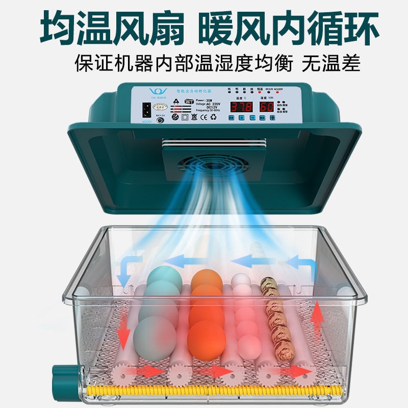 Máquina de incubadora inteligente automática para incubar pollos domésticos, incubadora para incubar pollo, pollo, pollo, pollo, pollo