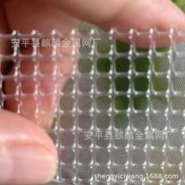 塑料方格网PP网格塑料网片耐高温白色透亮塑料网现货供应210-230