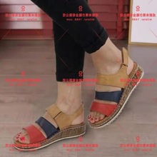 վQ¿~WŮʽЬͲrbЬp͸ŮЬa