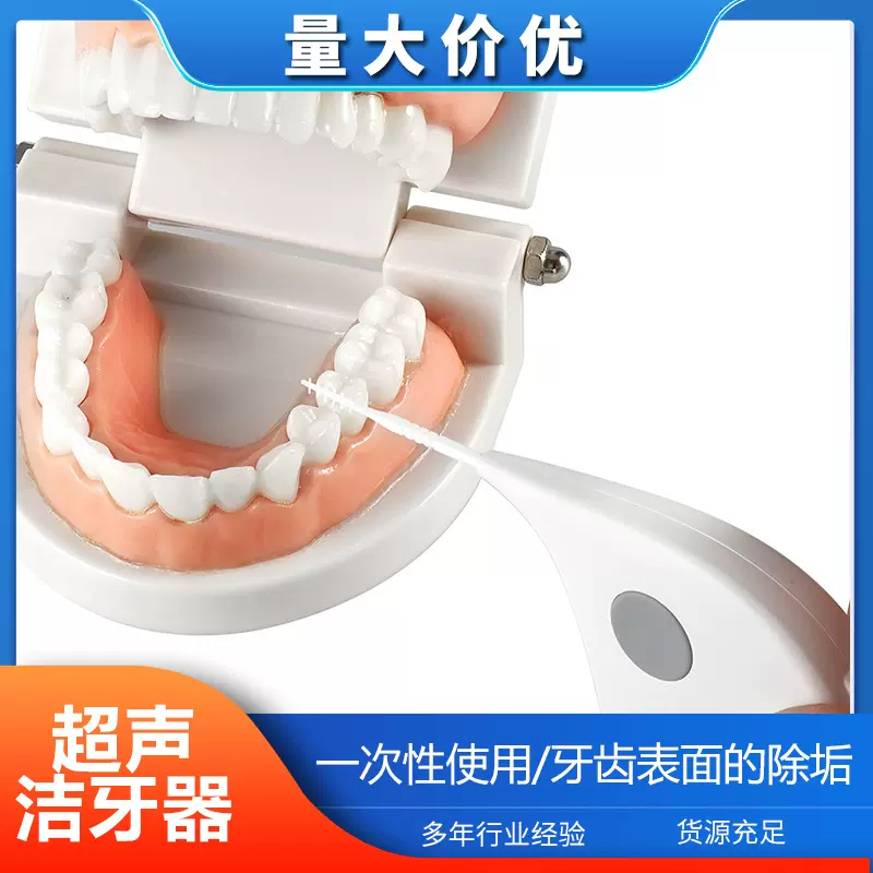 牙科材料口腔耗材超声洁牙器跨境磨牙洁牙器牙缝刷清洁震动牙签