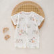 Baby Short-sleeved Boneless jumpsuit Summer Newborn Combed Cotton Thin Breathable Air-conditioning Suit for Boys and Girls Baby