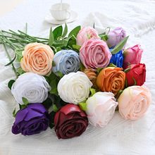 [b51cm֧õٻRdN滨õ廨