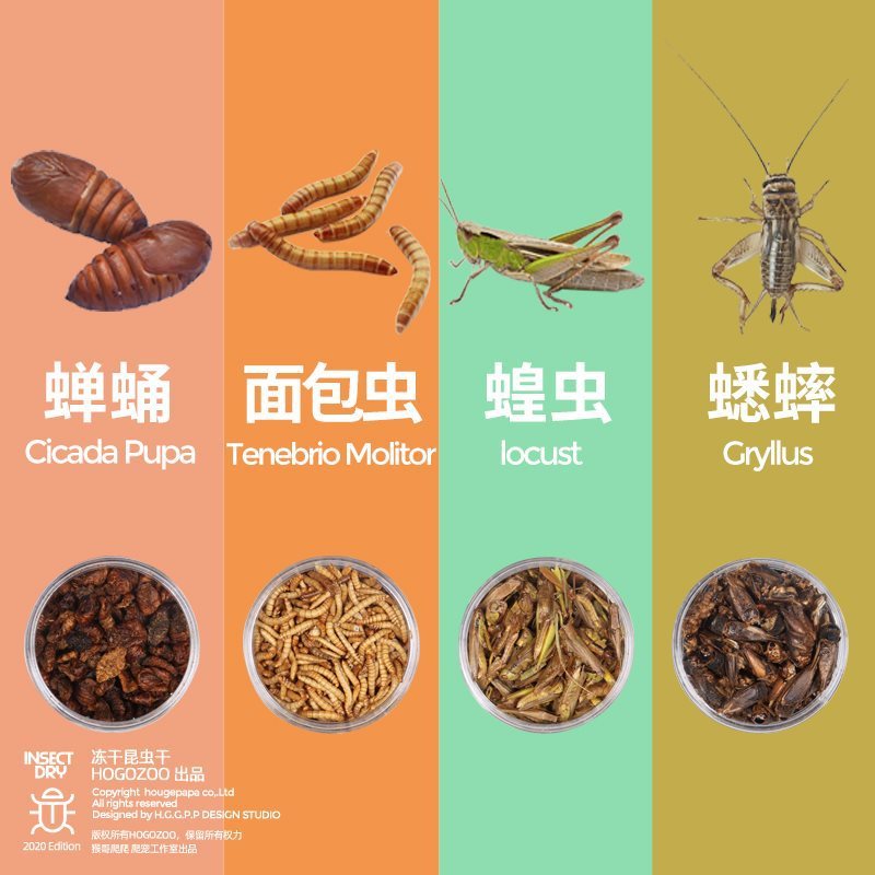 爬虫類用フリーズドライミルワーム、バッタ、乾燥飼料、ジャックルーサル、トカゲ、昆虫の餌、高たんぱく栄養亀の餌|undefined