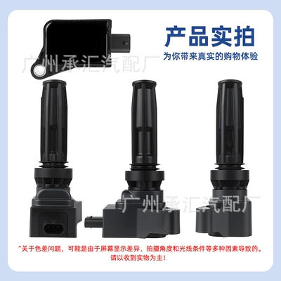 Alovlanma bobini (Babinalar) Ford Ignition Coil Evos