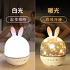 LED starry sky, children's projector, lamp with projector, lights, remote control, bluetooth, Birthday gift