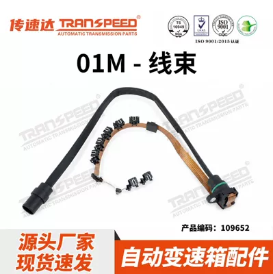 Transpeed Brand Gearbox 01m Transmission Wiring Harness Is Suitable for Volkswagen Golf, Jetta, Passat, and Beetle (Sürətlər qutusu)