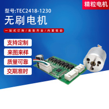 TEC2418-1230 С������ˢֱ�����24V΢�����ø�Ĥ��������ˢ���