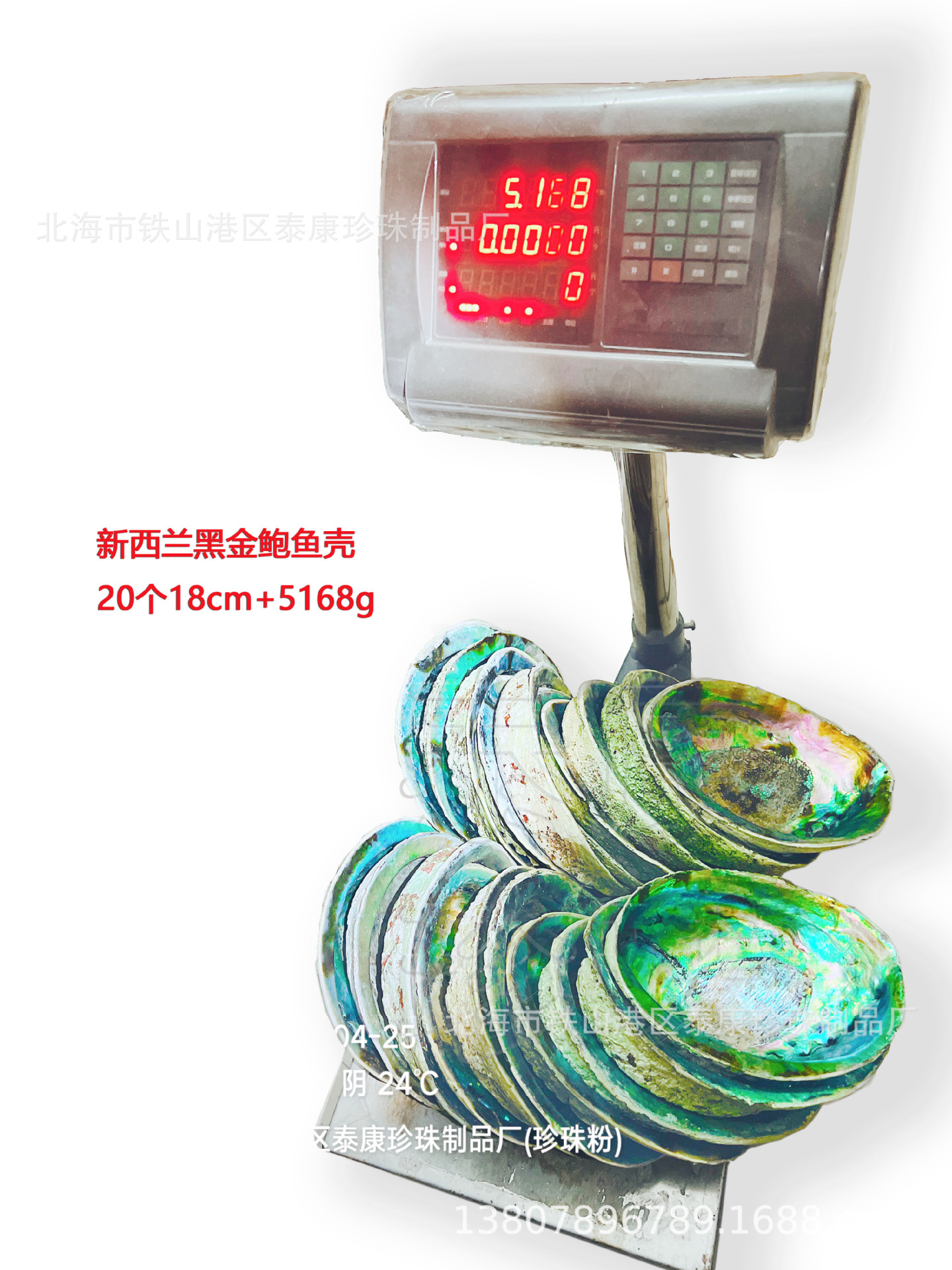 IMG_9809 新西兰黑金鲍鱼壳20个17cm+5168g